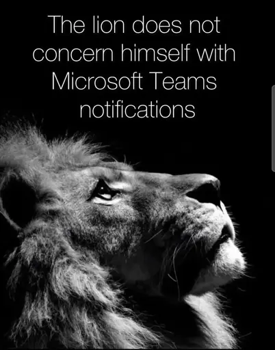 Slack?
