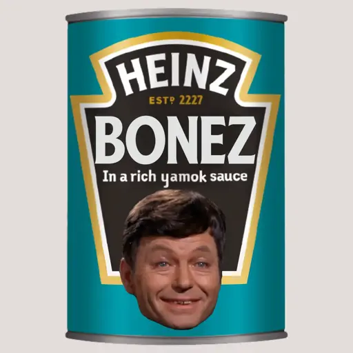 Baked Bones in lost in the sauce