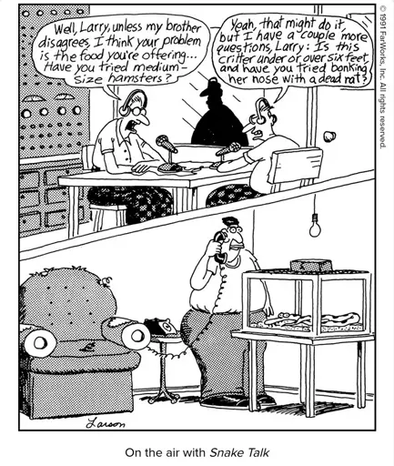 Well, Larry, unless my brother disagrees, I think your problem is the food you’re offering… Have you tried medium-size hamsters? / Yeah, that might do it, but I have a couple more questions, Larry: Is this critter under or over six feet, and have you tried bonking her nose with a dead rat?
