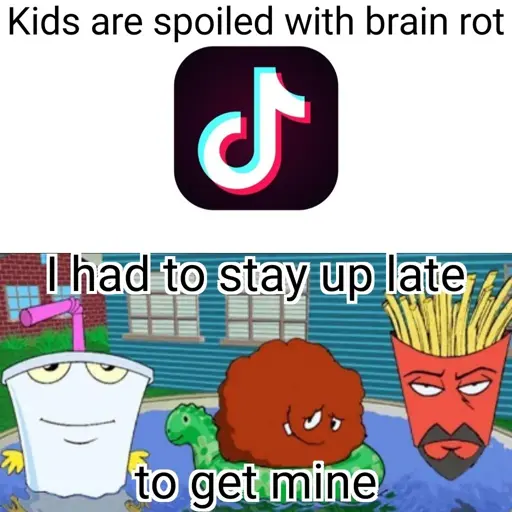 Top image is the tiktok logo. Bottom image is Aqua Teen Hunger Force. Text reads: "Kids are spoiled with brainrot I had to stay up late to get mine"