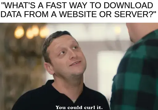 caption: "What's a fast way to download data from a website or server?" image: Tim Robinson from his show I Think You Should Leave saying "You could curl it."