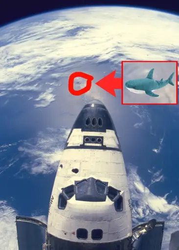 A photo taken from the Soviet Union Mir space station, with a zoomed in section revealing a Blåhaj plushie