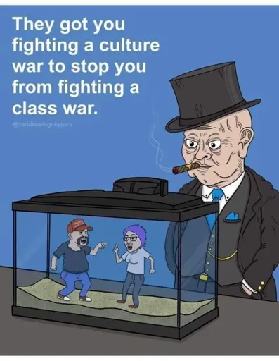 Capitalist pig watching MAGA and Liberal fighting in a tank."They got you fighting a culture war to stop you fighting a class war."