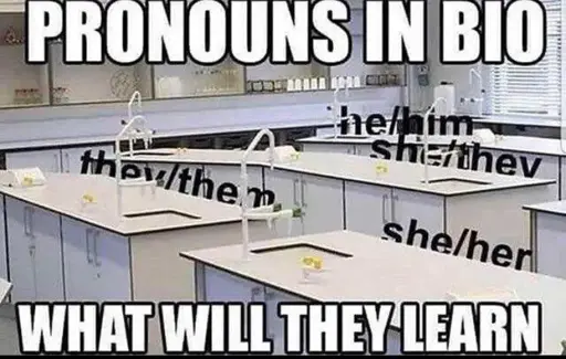 "pronouns in bio what will they learn" but it's just 'she/her' 'he/him' text behind the desk of a biology classroom